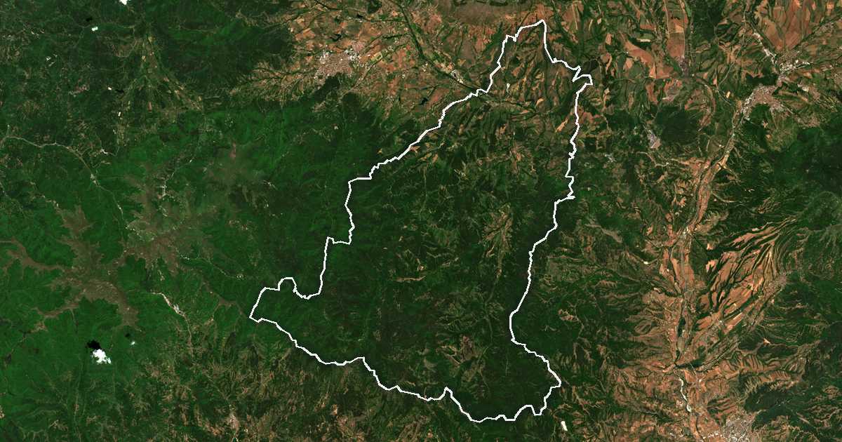 Imagen de satélite con el límite trazado: Nevéstino
