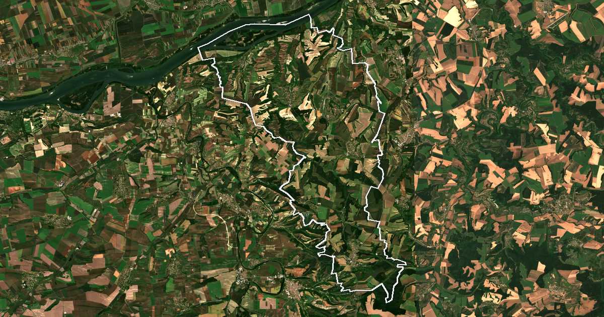 Imagen de satélite con el límite trazado: Borovo