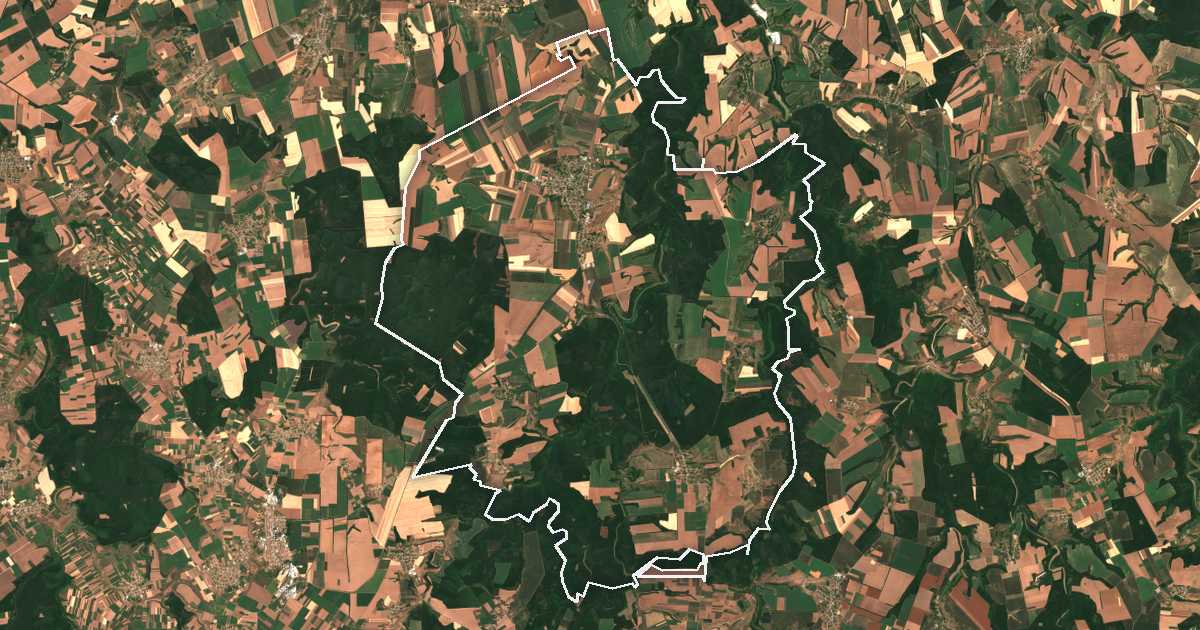 Imagen de satélite con el límite trazado: Alfatar