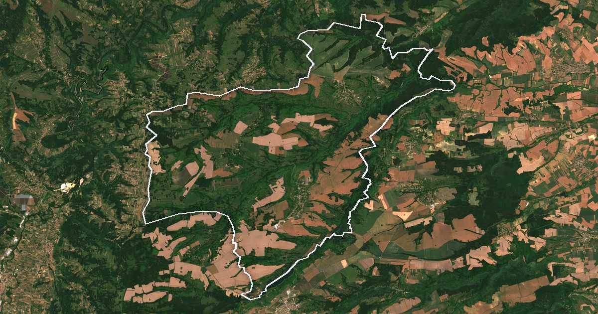 Imagen de satélite con el límite trazado: Boynitsa
