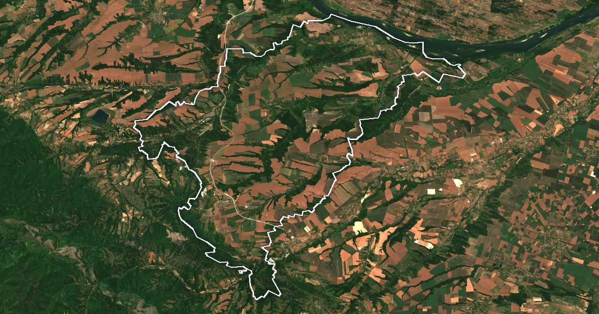 Imagen de satélite con el límite trazado: Dimovo