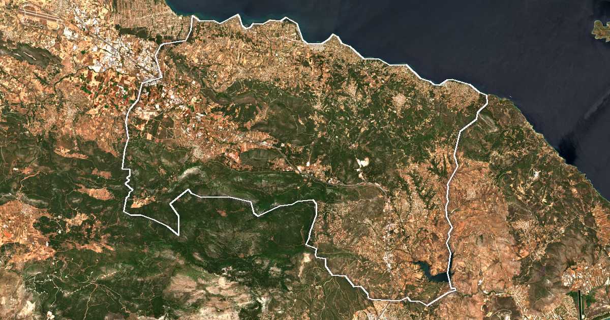 Imagen de satélite con el límite trazado: Dímos Oropoú