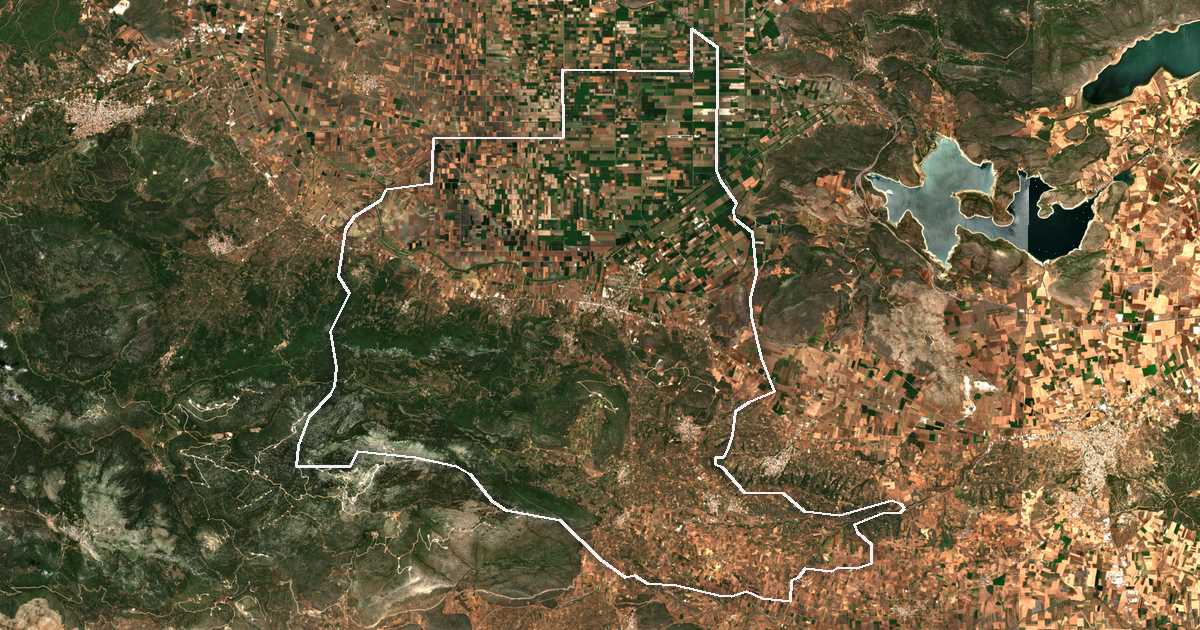 Imagen de satélite con el límite trazado: Dímos Aliártou