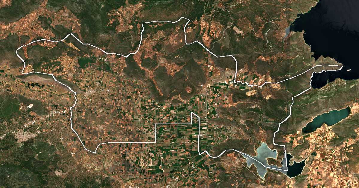 Imagen de satélite con el límite trazado: Dímos Orchomenoú