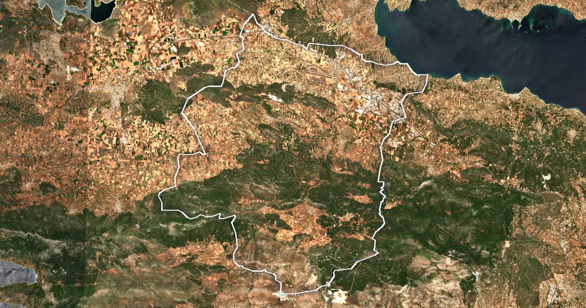 Imagen de satélite con el límite trazado: Dímos Tanágras