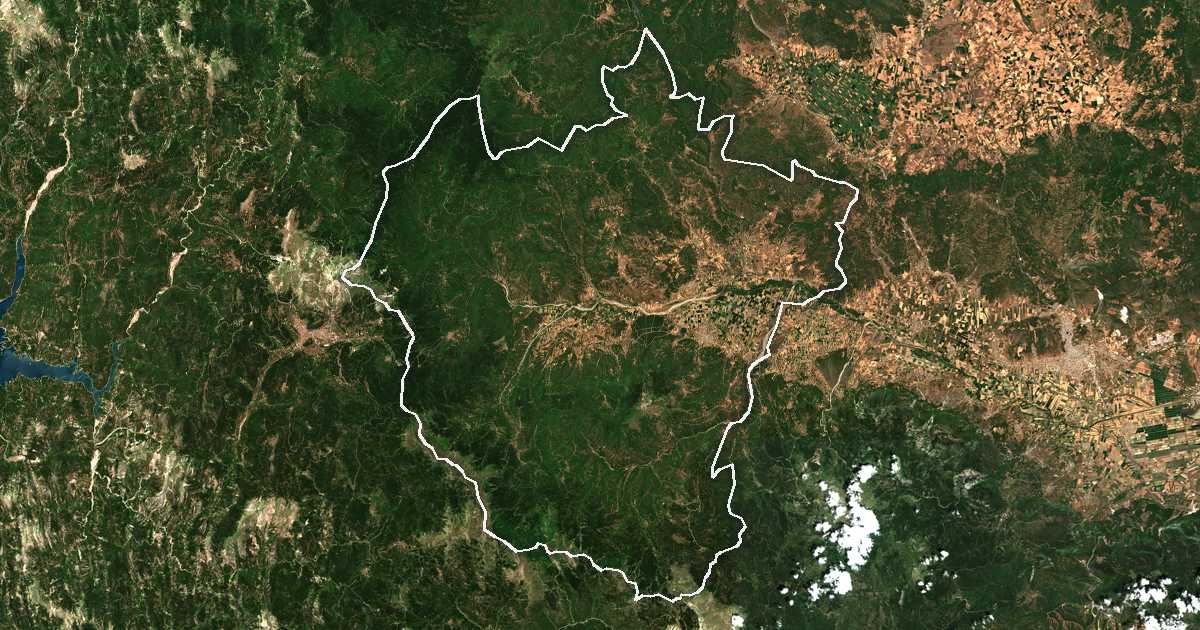 Imagen de satélite con el límite trazado: Dímos Makrakómis