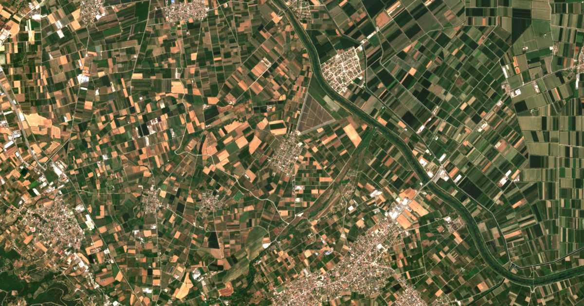 Mapa por satélite de Néa Lykógianni