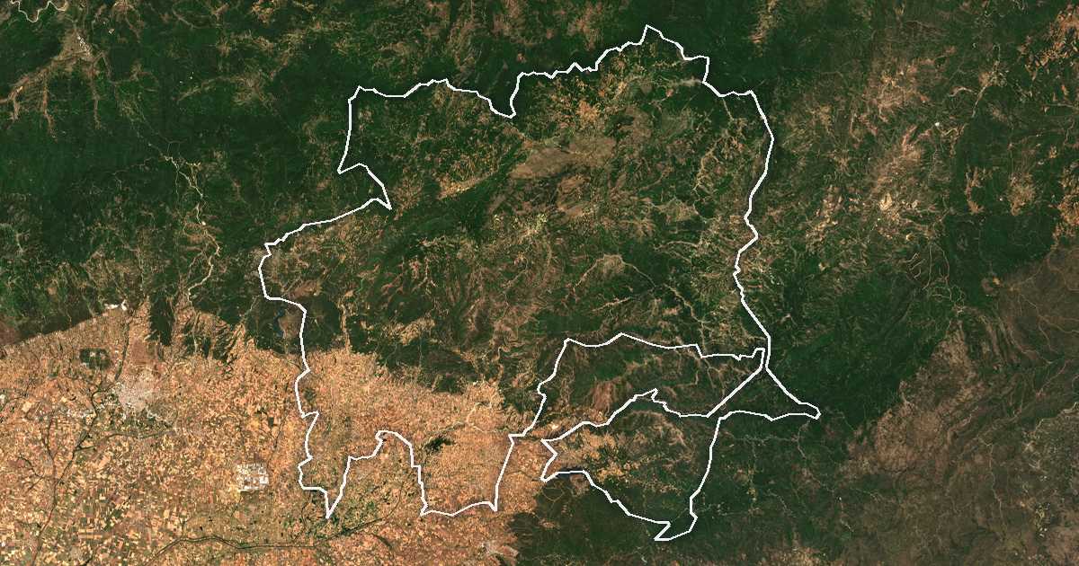 Imagen de satélite con el límite trazado: Arrianá
