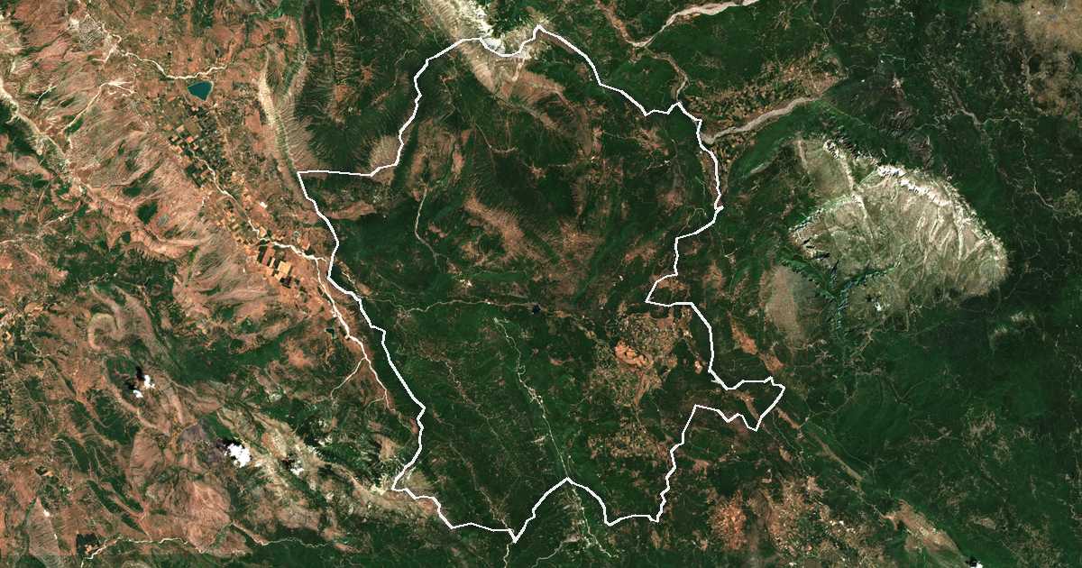 Imagen de satélite con el límite trazado: Pogoni