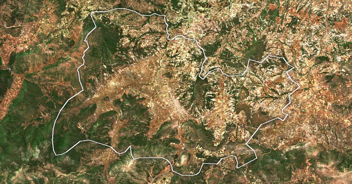 Imagen de satélite con el límite trazado: Dímos Neméas