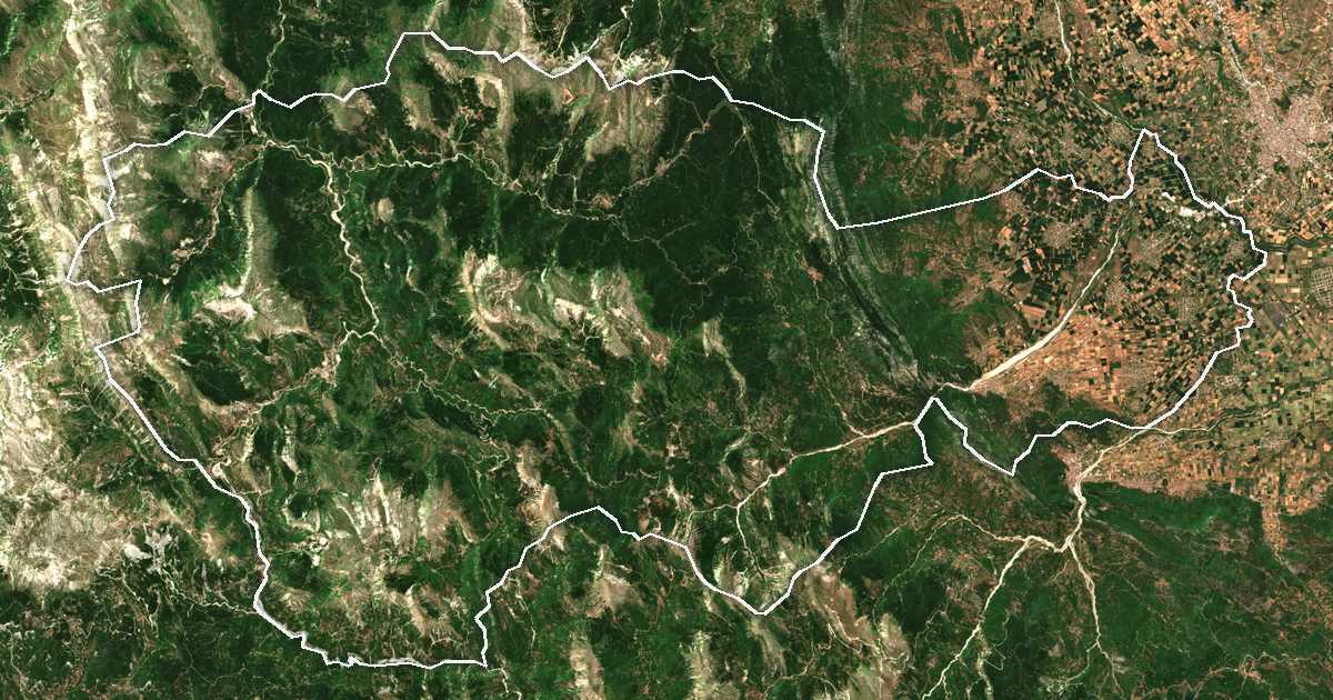 Imagen de satélite con el límite trazado: Pyli