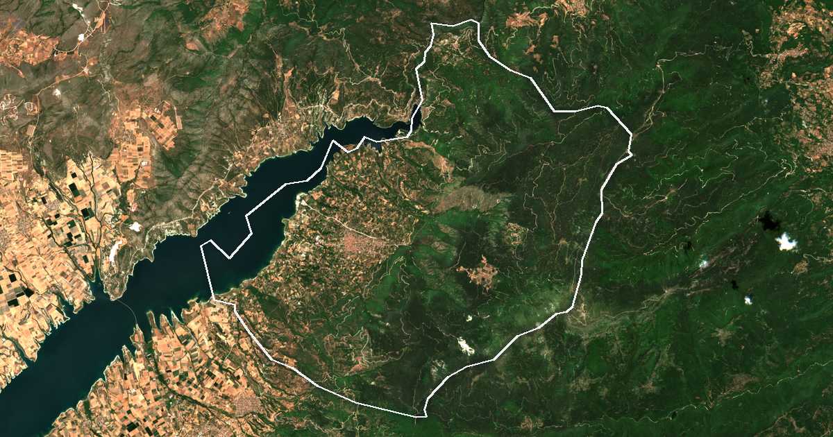 Imagen de satélite con el límite trazado: Dímos Servíon